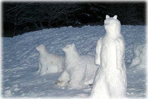 Snow bears photo