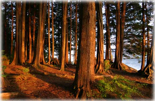 photo Refuge Cove Ketchikan, Alaska