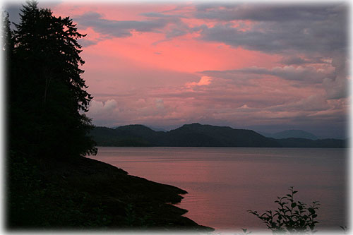 Front Page Photo by Carl Thompson