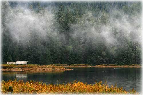 jpg Ward Lake Fall Colors