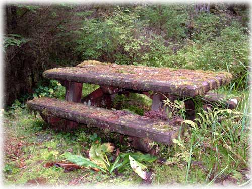 jpg old picnic table