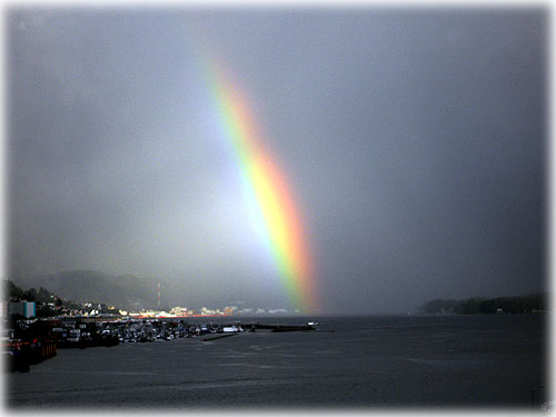 Front Page Photo by Dan Hart