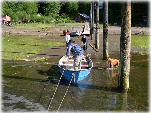 photo replacement ferry