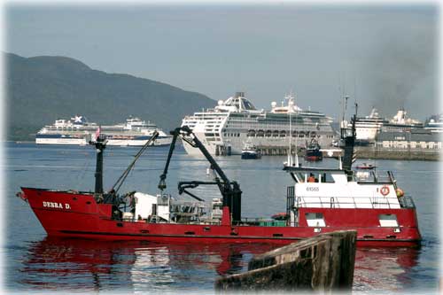 jpg Busy Tongass Narrows