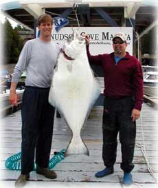 photo 73 pound halibut
