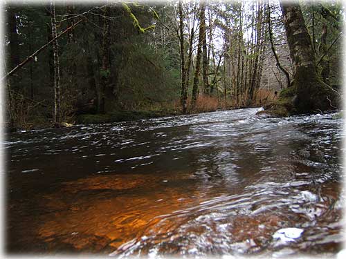 jpg high water Ketchikan