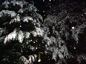 snowy night photo...
