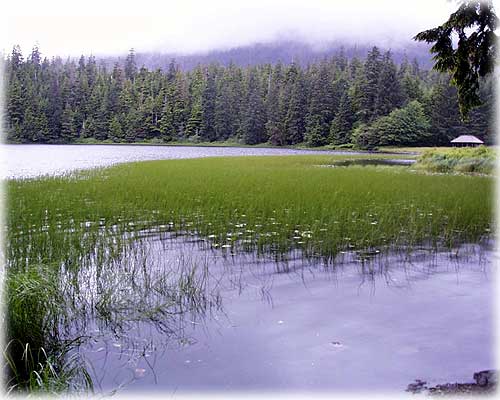 Ward Lake photo by Rick Grams...