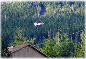 Logging operations start in Bear Valley