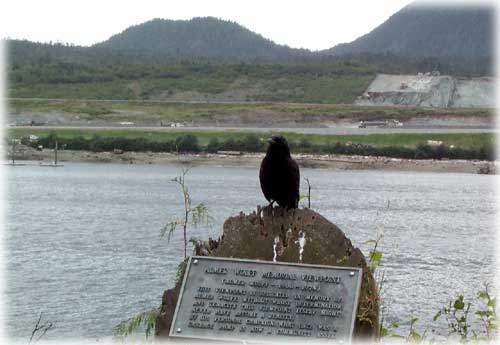 Watchful crow by Vanessa Alderson...