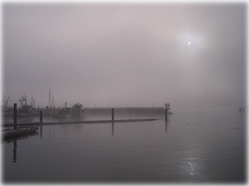 jpg foggy morning