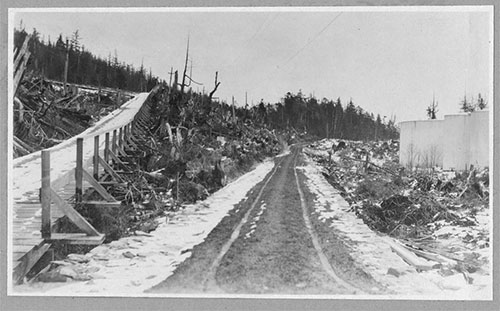 jpg Ketchikan’s Industrious Citizen: John Collinson Barber