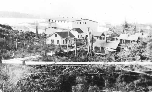 jpg New England Fish Company housing and boardwalk